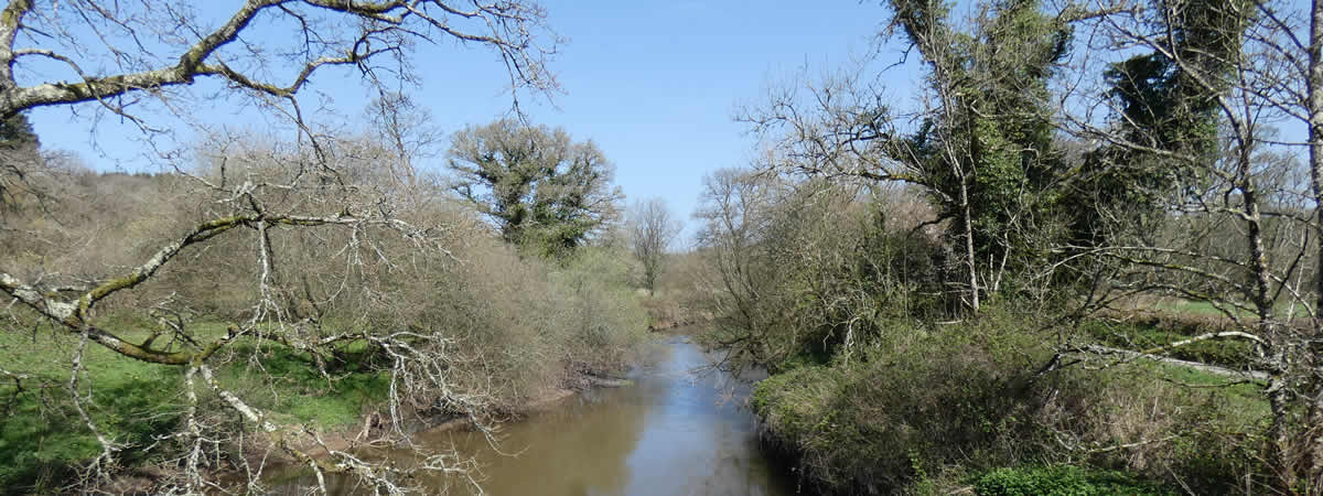 Image 04