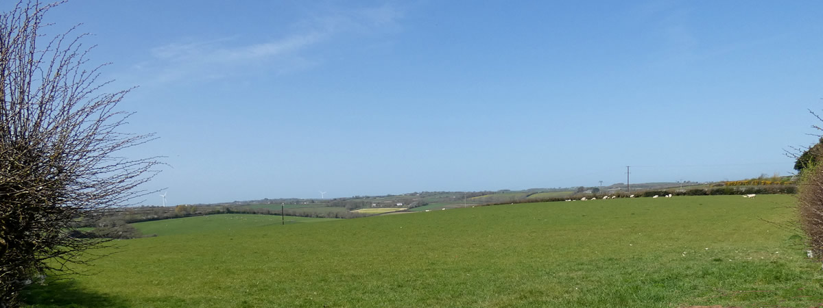 Image 01