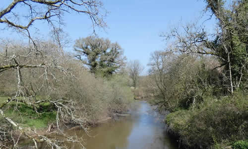 Views over the River Tamar from Boyton Bridge