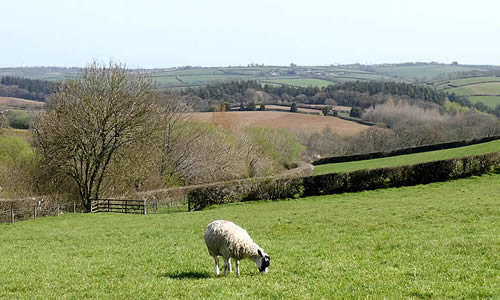 Views over Boyton Parish